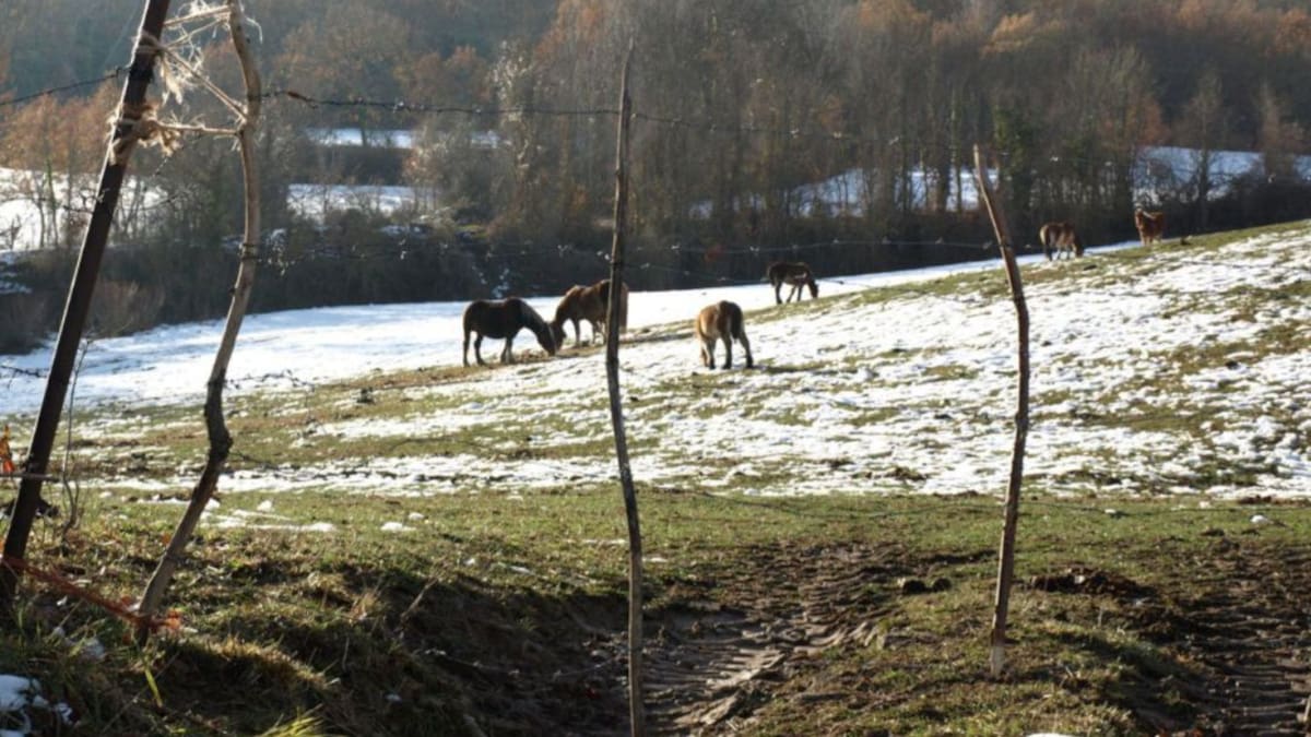 AEMET pronostica un invierno con temperaturas normales pero más lluvioso