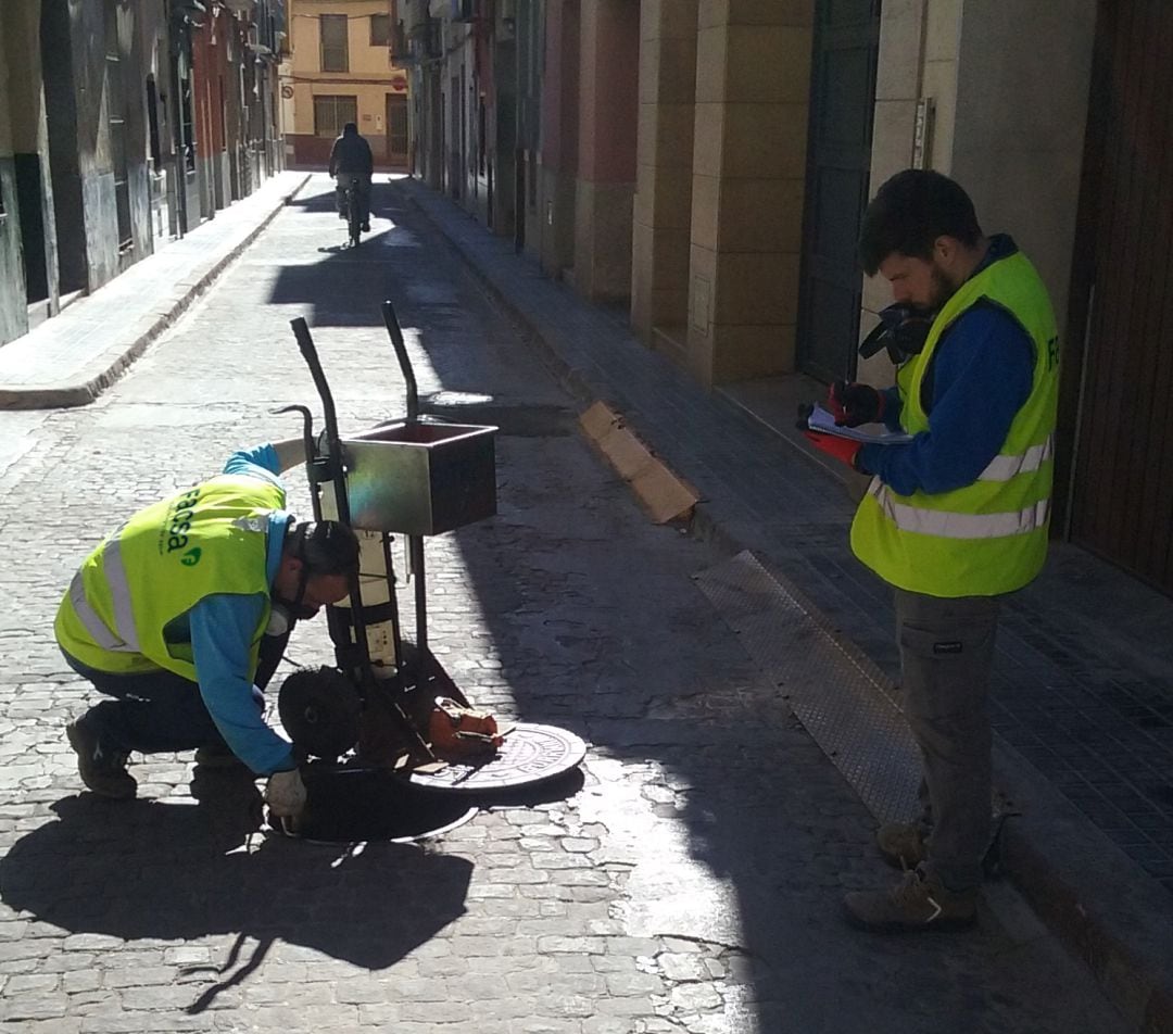 Tareas de tratamiento contra ratas e insectos en Borriana