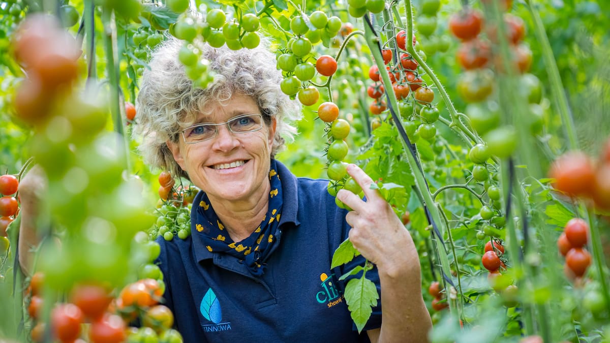 Lola Gómez (Clisol): "El tomate espaol sabe a tradición mezclada con tecnología"