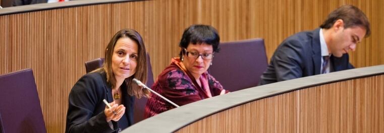 El grup parlamentari socialdemòcrata