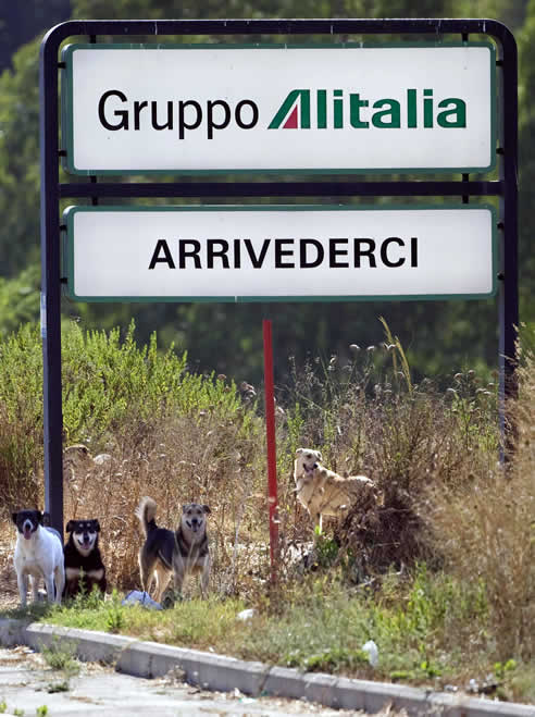 La aerolínea italiana en bancarrota Alitalia se plantea suspender algunos de sus vuelos a partir del próximo lunes por falta de combustible.