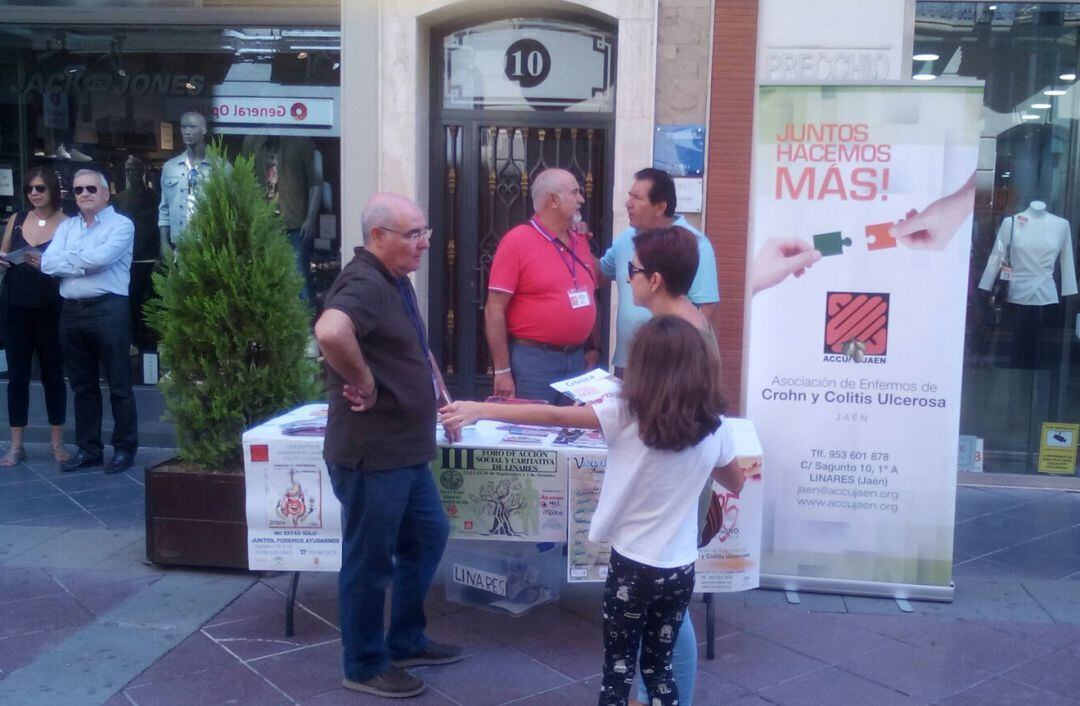 Muestra asociativa 2017.