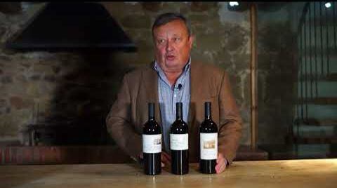 Íñigo Manso de Zúñiga, XI Conde de Hervías