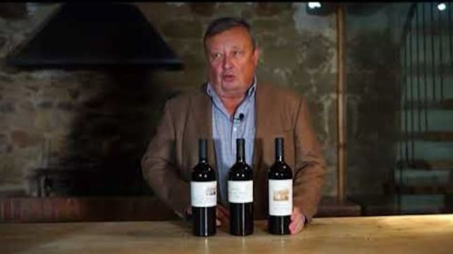 Íñigo Manso de Zúñiga, XI Conde de Hervías