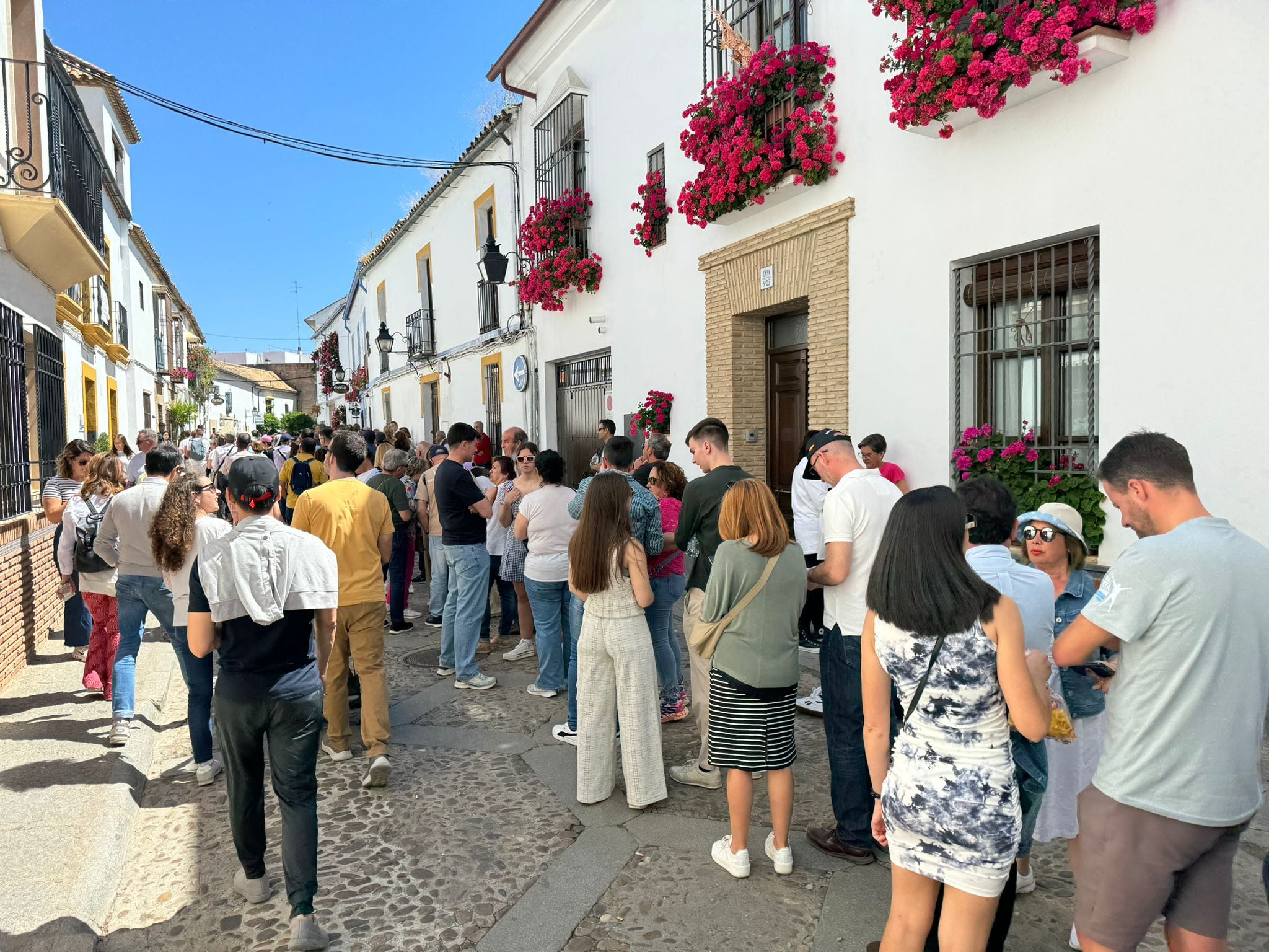 Córdoba recibe a miles de personas para visitar sus patios en flor abiertos al mundo, una fiesta declarada Patrimonio de la Humanidad