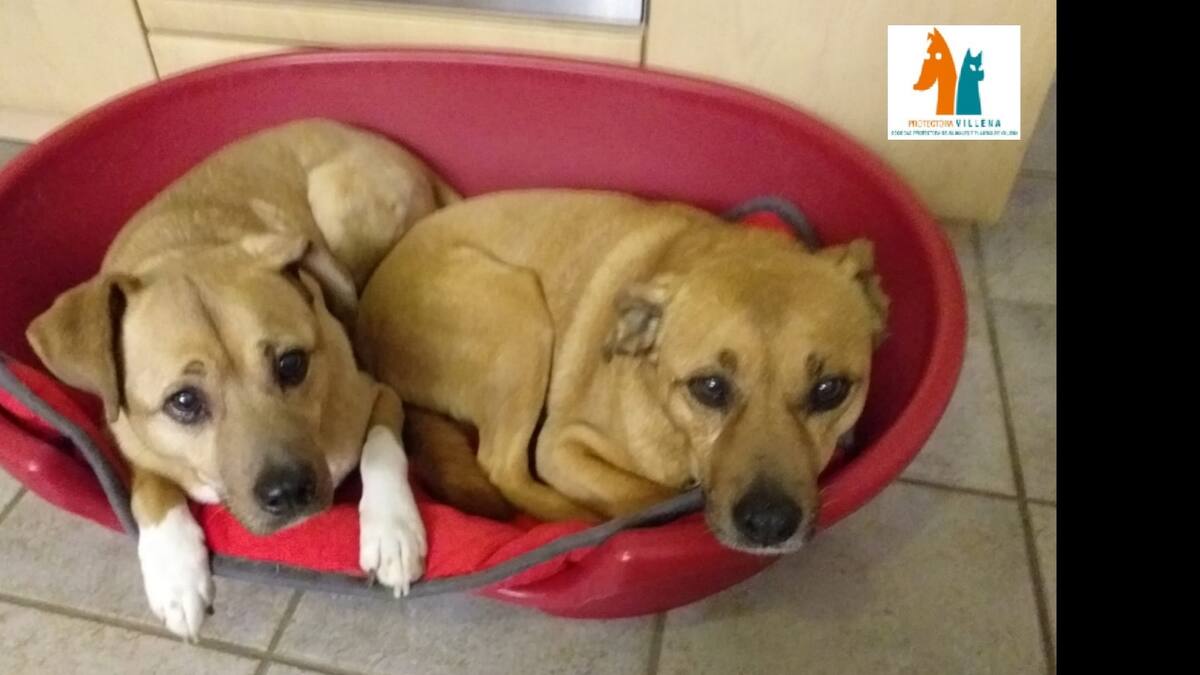 Mari Paz Sanjuán y Mercedes Sánchez