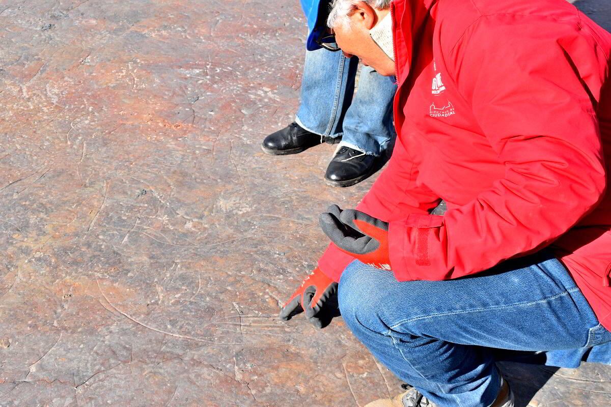 Detalle de las huellas fosilizadas en el ríplex