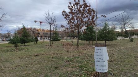 Un cartel recuerda a una persona desaparecida durante un atentado. El árbol fue plantado en su homenaje en el Bosque urbano de Barajas