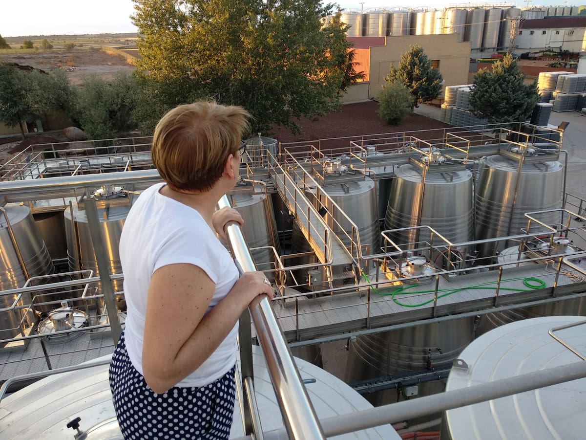 Vino, Cultura y Gastronomía con la D.O. Uclés (Inicio de temporada)