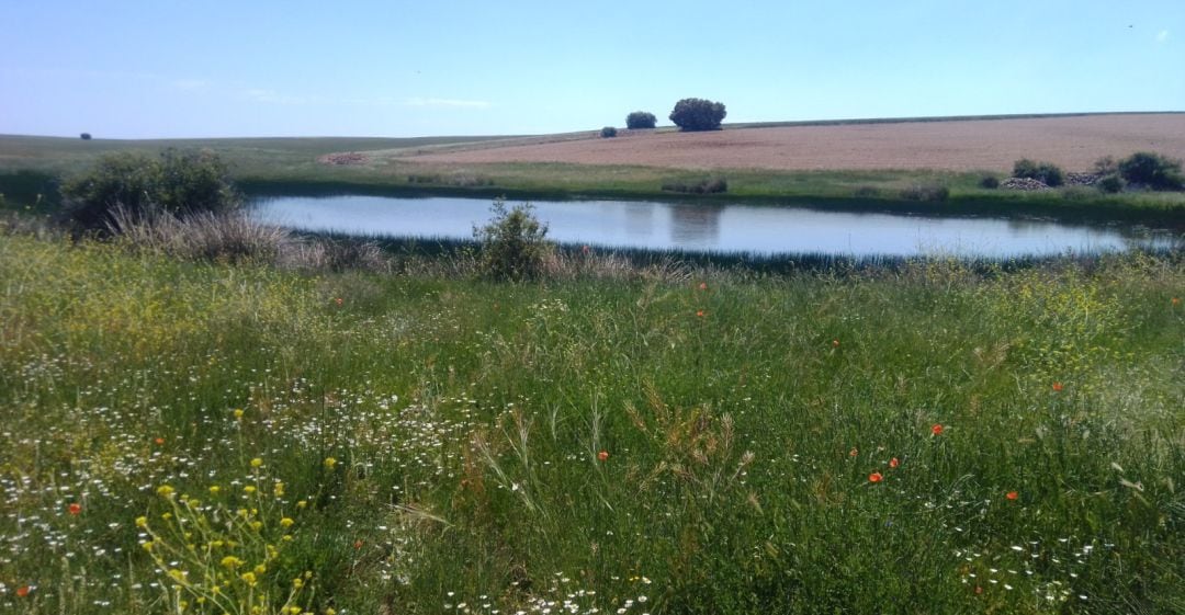 Naturaleza en la comarca de Molina de Aragón (Guadalajara)