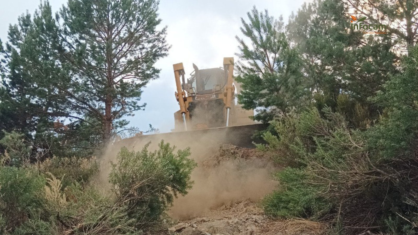 Buldozer trabajando en Peñalba de la Sierra