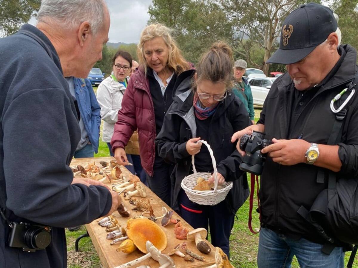 Los Barrios acogen las Jornadas Micológicas