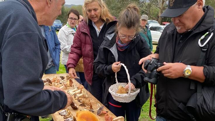 Los Barrios acogen las Jornadas Micológicas