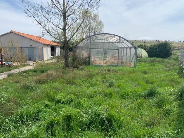 Malena en Bernuy-Salinero