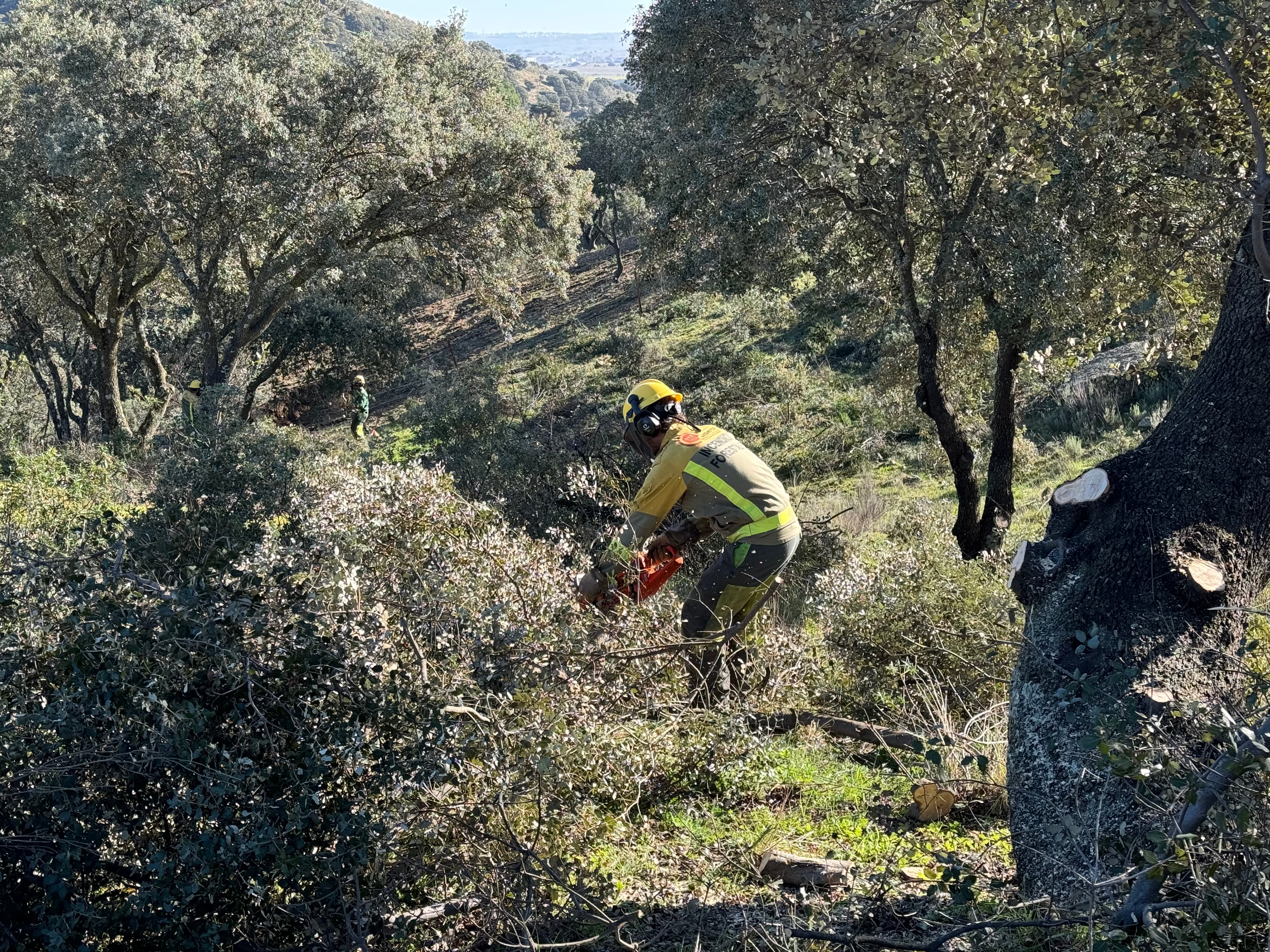 La Comunidad de Madrid despliega a más de 300 efectivos para la prevención de incendios forestales