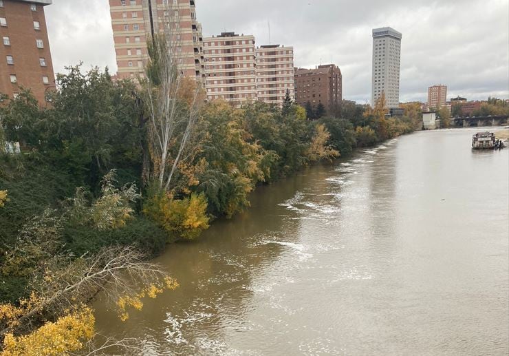 Espuma en la superficie del río Pisuerga a su paso por Valladolid