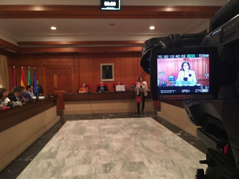 Isabel Ambrosio durante su intervención en el Pleno de hoy