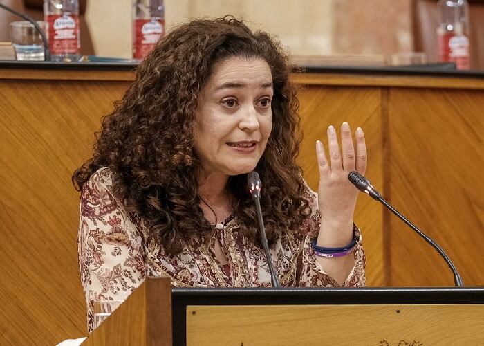 La portavoz parlamentaria de Unidas Podemos por Andalucía, Inmaculada Nieto