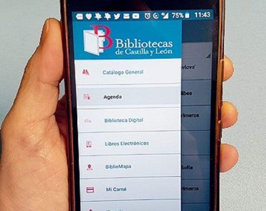 El acceso a la Biblioteca Municipal de Medina del Campo se facilita con la nueva APP