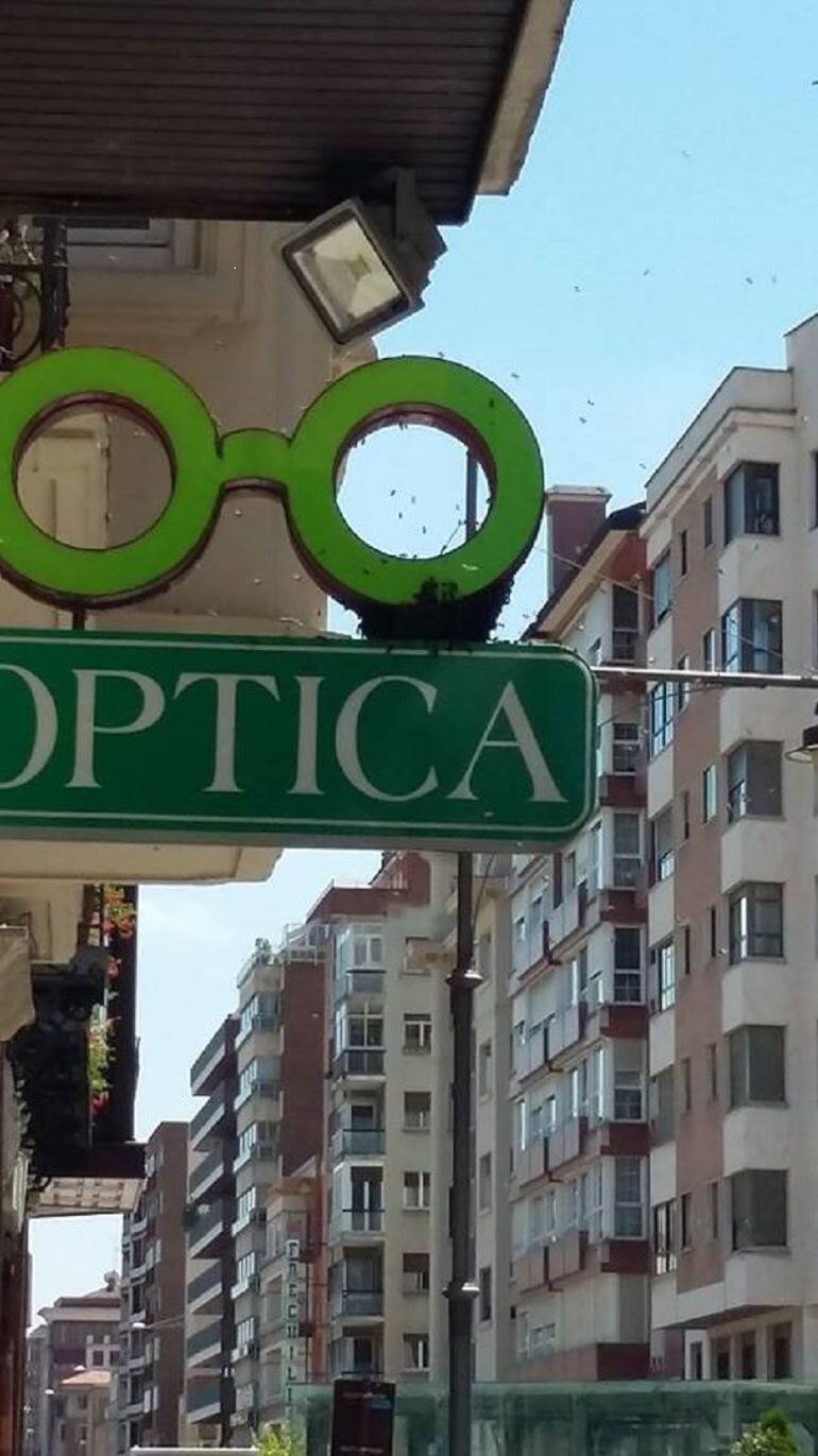 Imagen de la colmena