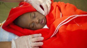 Princesa, cuando llegó a España