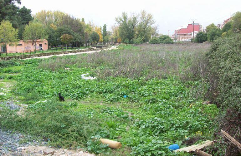 Ubicación del futuro colegio de las Huertas de la Isla, hoy todavía como terreno rústico
