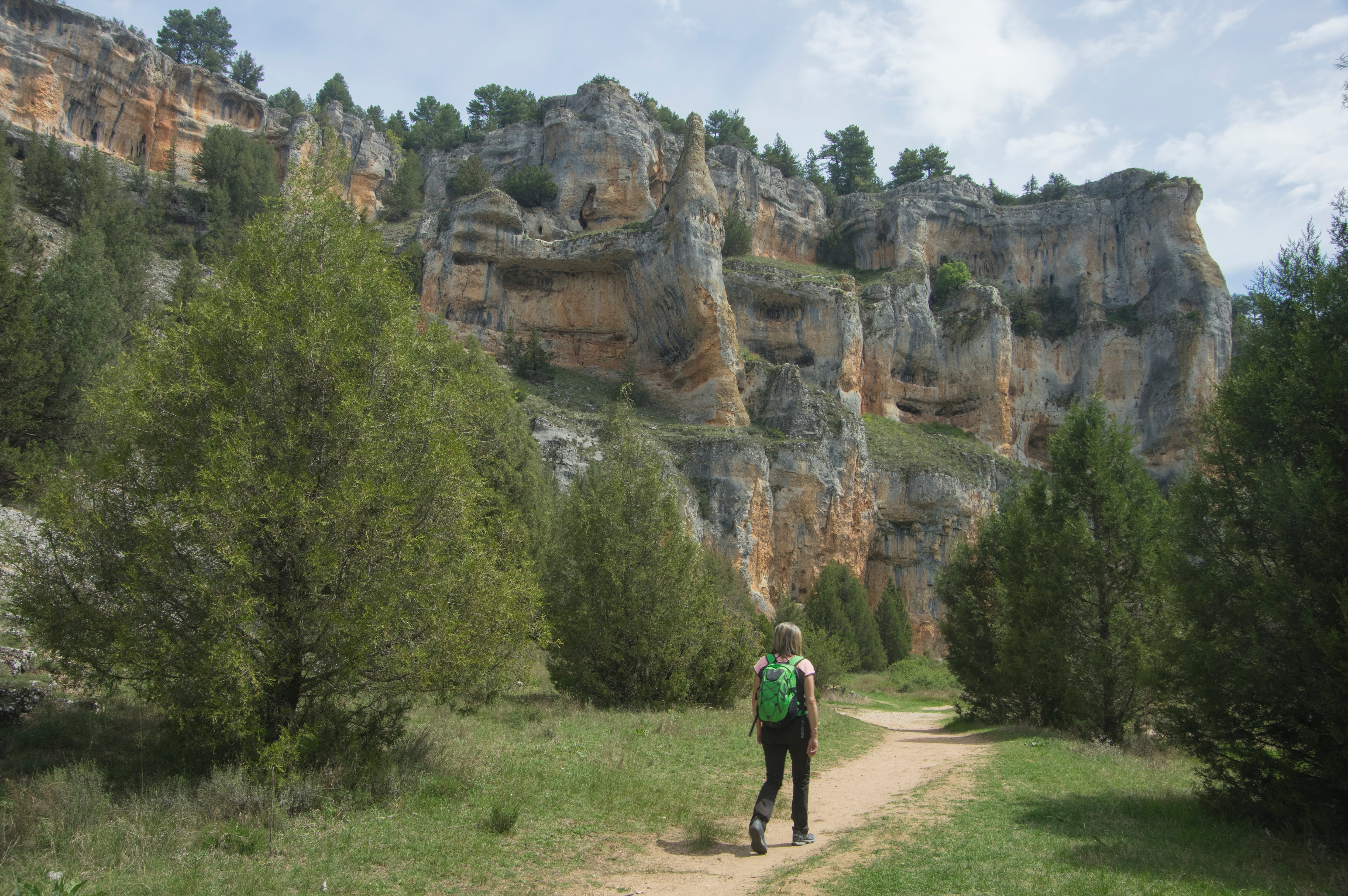 Una mujer realiza una caminata por el campo.