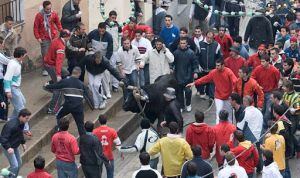 Fiesta del Bou i Corda de Ontinyent (Valencia)