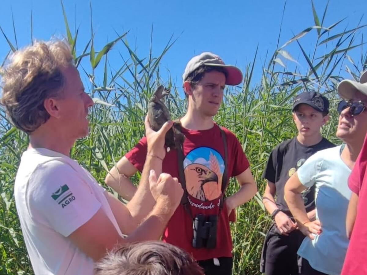 Localizan cinco tortugas autóctonas en el Parque Natural de El Hondo