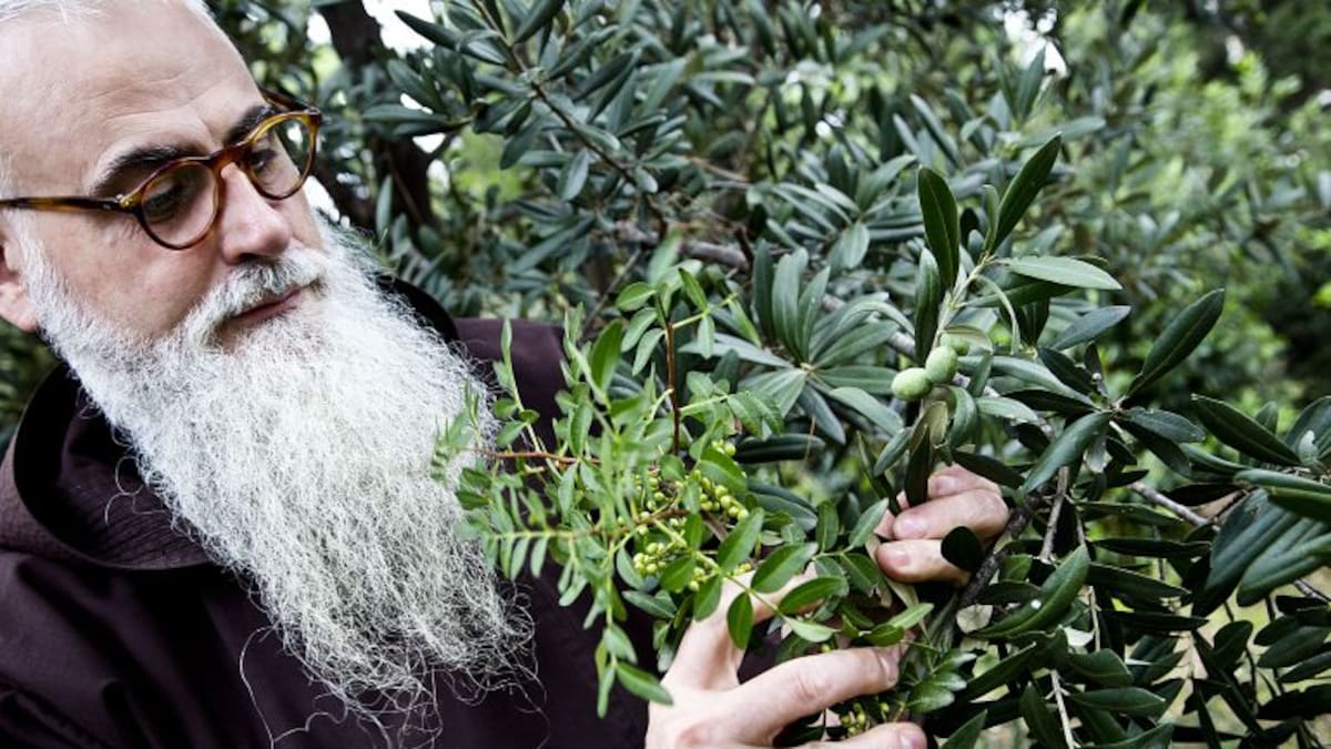 “Pócimas de capuchino”