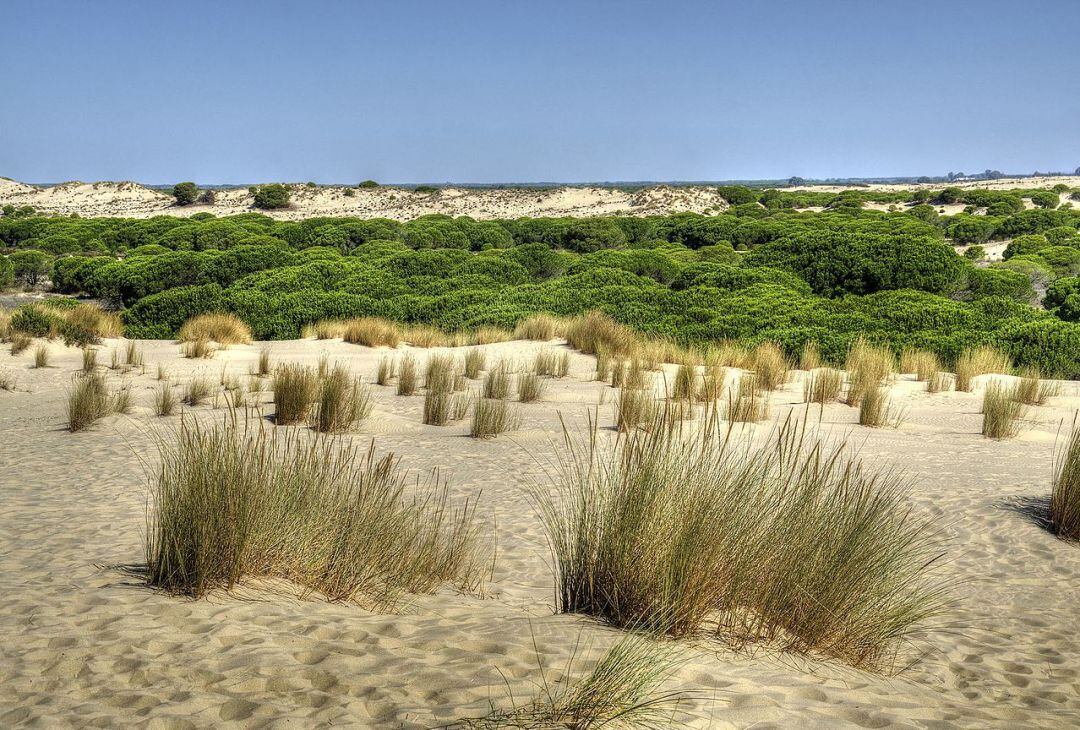 Parque Nacional de Doñana