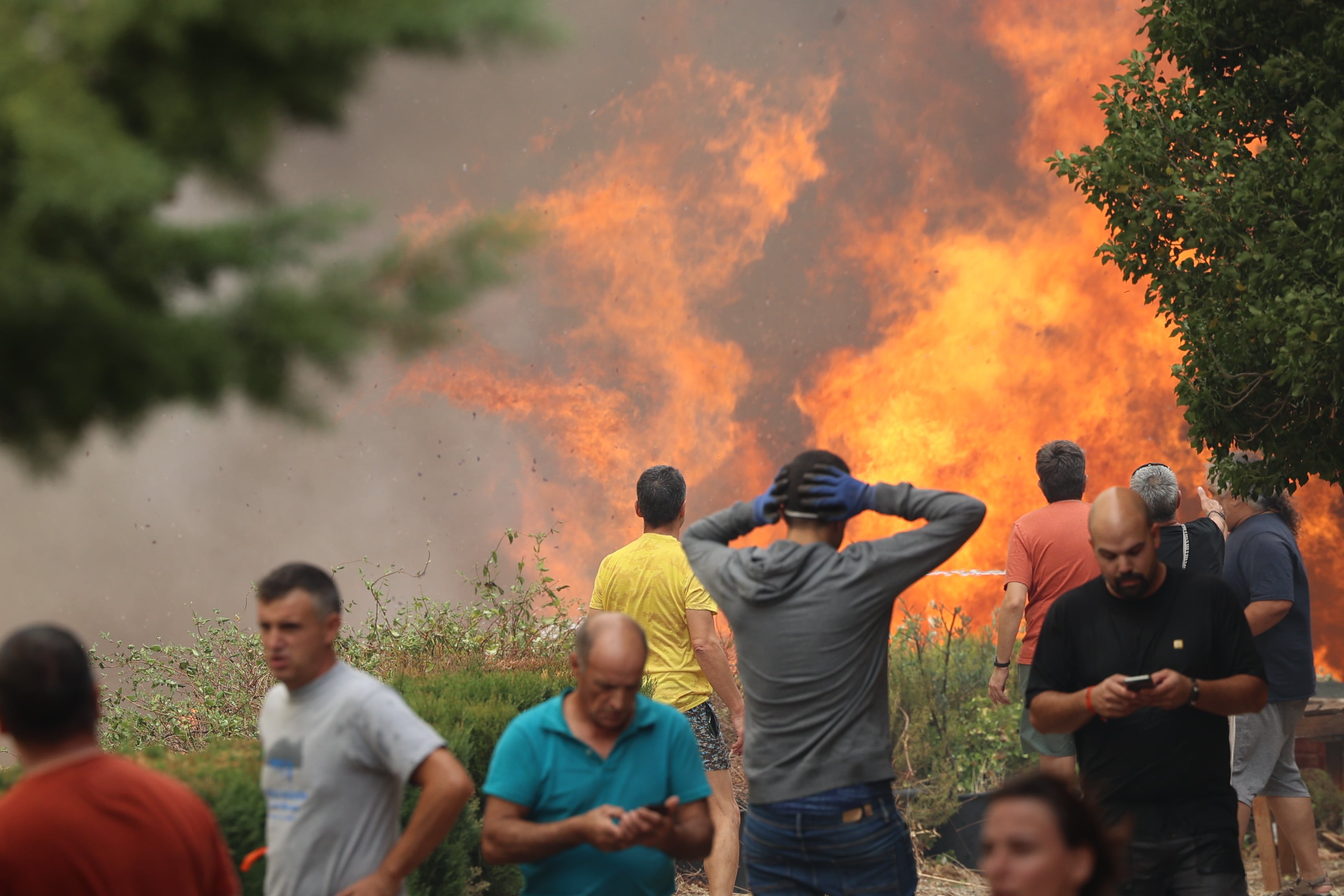 Incendio forestal declarado en Añón de Moncayo.