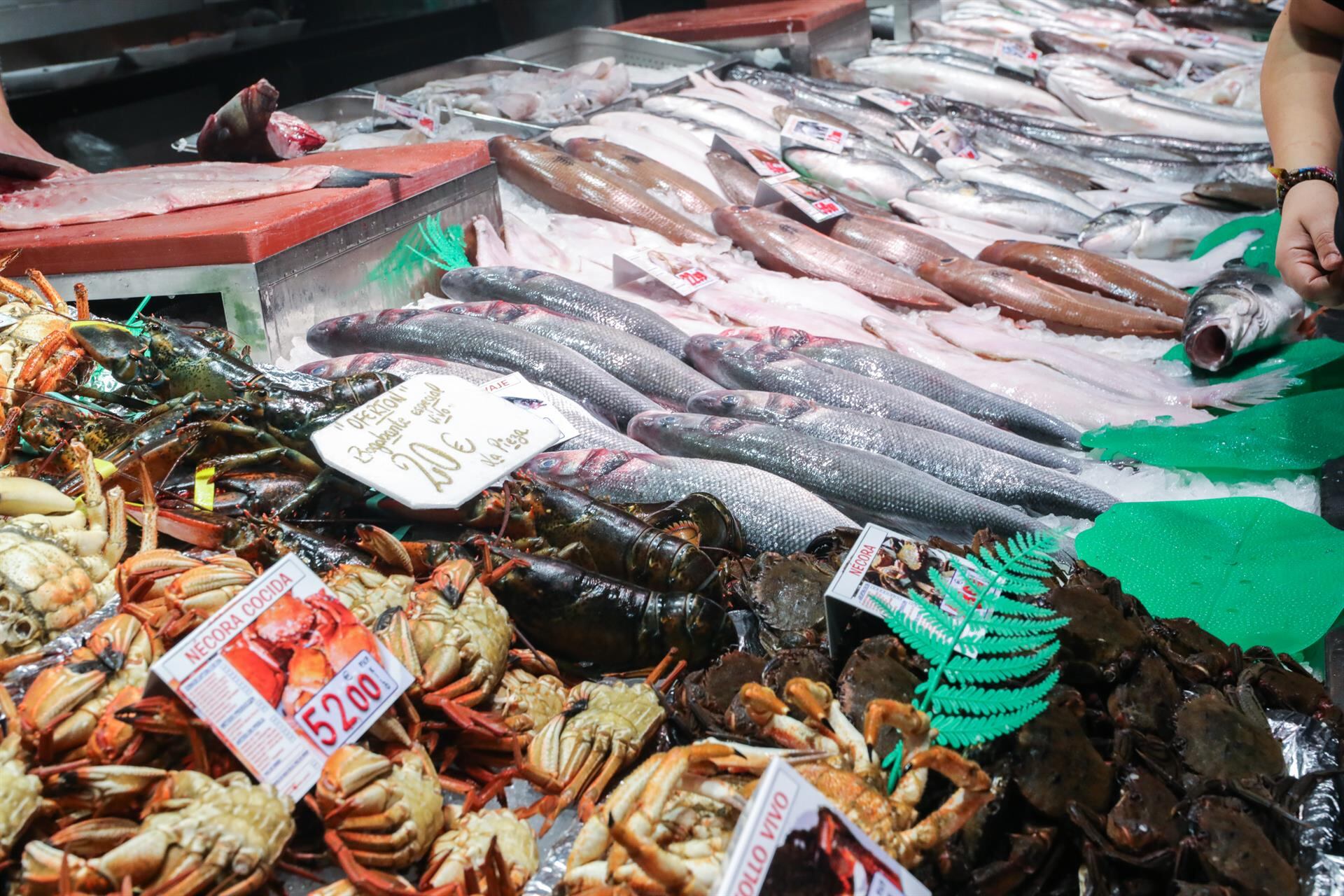 Muestra de una pescadería - Jesús Hellín - Europa Press - Archivo