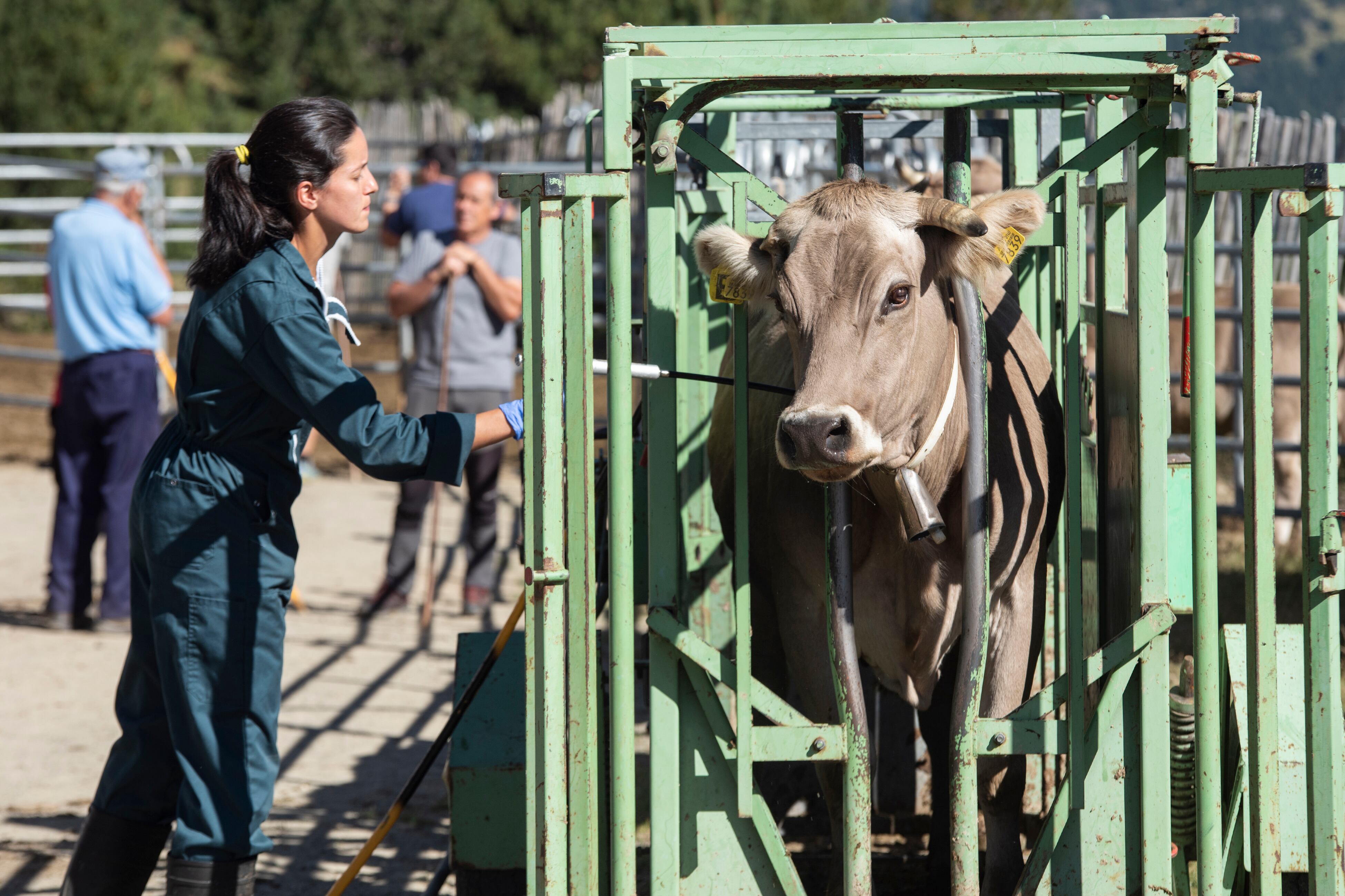 El sanejament es va fer a la Sola del Forn, a Soldeu
