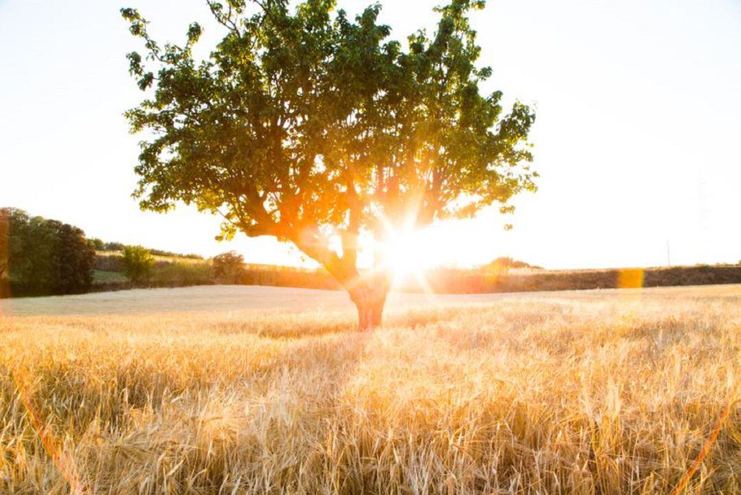 El sol calentará con fuerza estos días