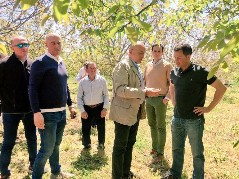 El presidente de la Institución, Jesús Julio Carnero, en la plantación de nogales