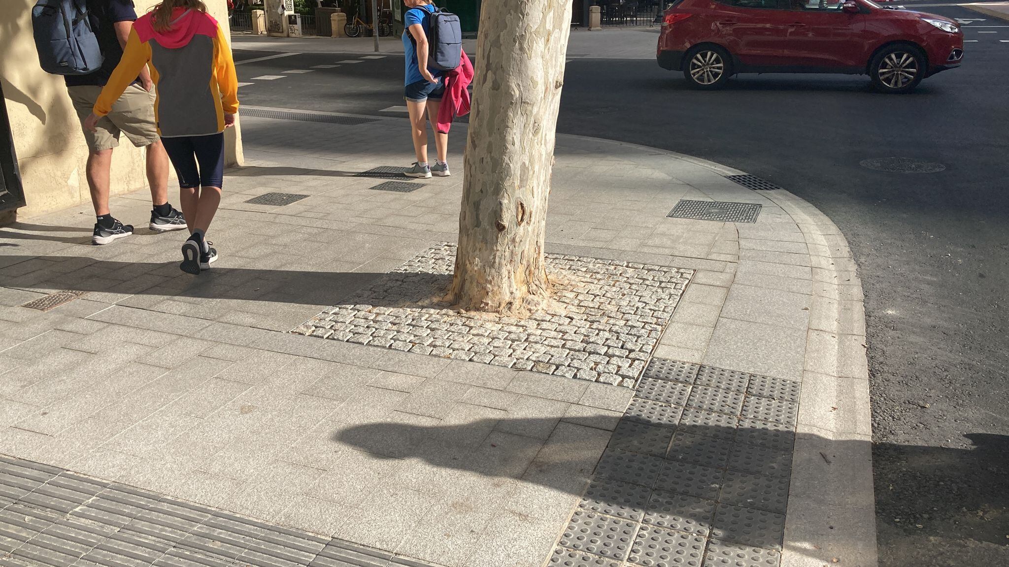 Uno de los nuevos alcorques adoquinados que se han instalado en el centro de Alicante