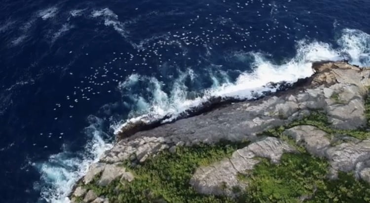 Imagen del documental eibarrés