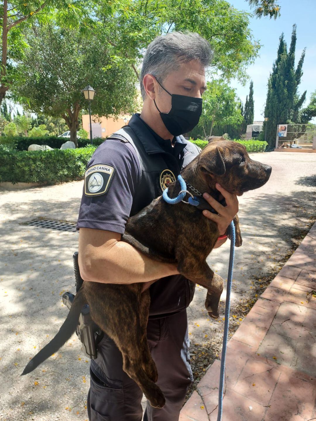 El perro rescatado por los agentes de la Policía Local de Alicante