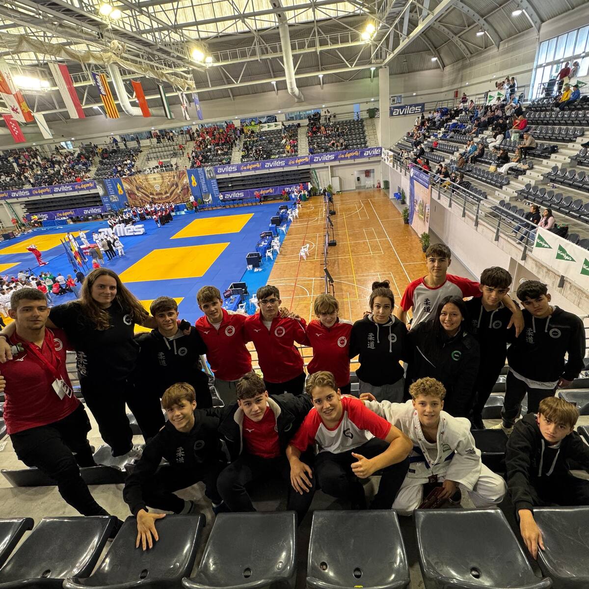 Los judokas altoaragoneses brillan en Avilés