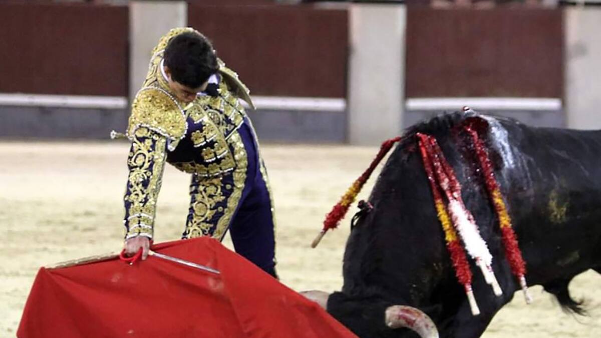 Tomás Rufo estará en la final del certamen de novilladas nocturnas