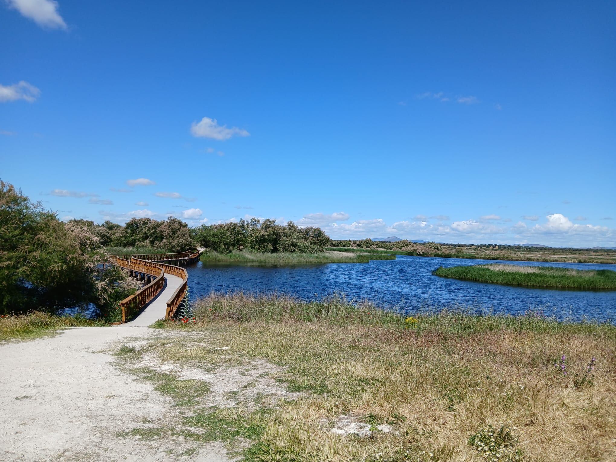 Parque Nacional de lasTablas de Daimiel