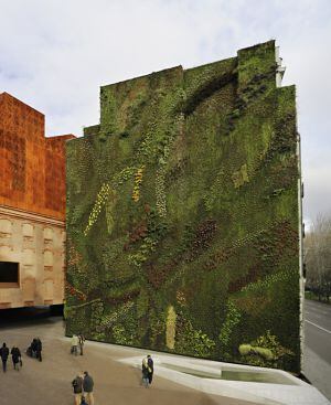 Jardín del Caixaforum situado en pleno corazón de Madrid.