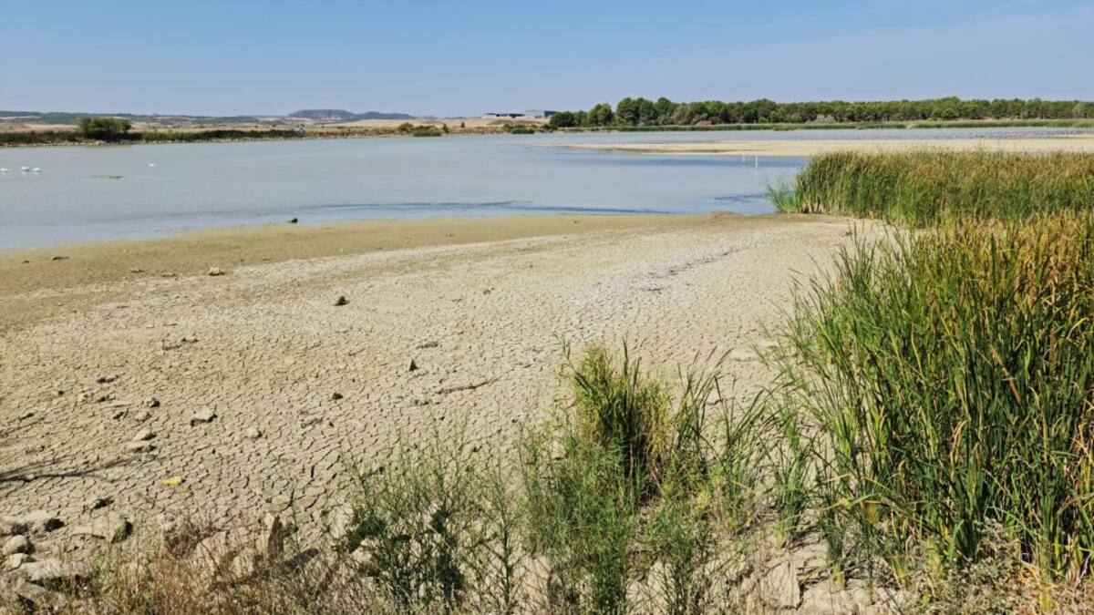 Vecinos de Figarol denuncian la muerte programada de la Laguna de Dos reinos