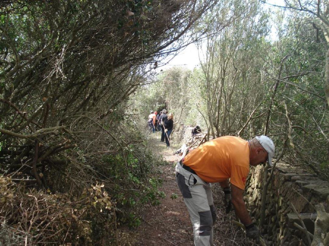 Desbroce de un camino