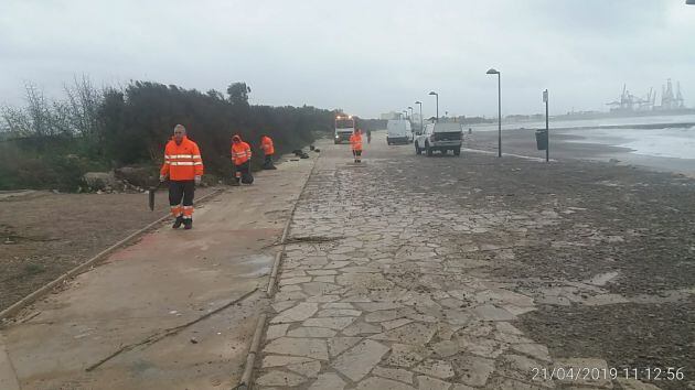 Trabajos de limpieza tras el temporal en las playas del sur de Valencia