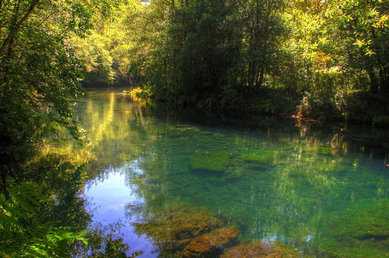 Parque Natural de As Fragas do Eume