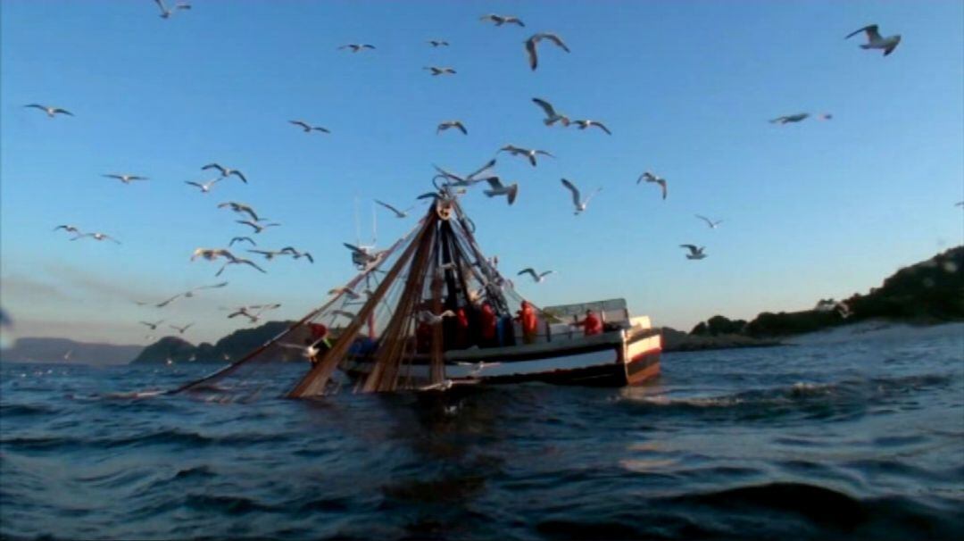 Barco pesquero