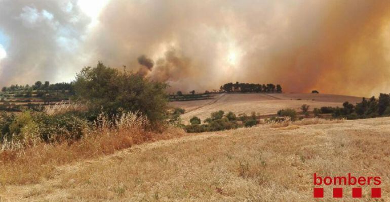 Imatge de l'incendi de vegetació al terme de Vallbona de les Monges