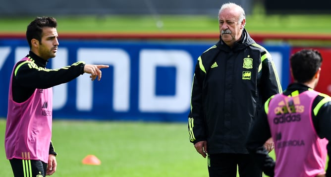 Del Bosque escucha impaciente las palabras de Cesc en el último entrenamiento en Curitiba.